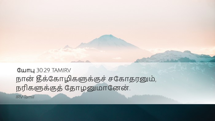 யோபு 30:29 TAMIRV Bible Verse Image
