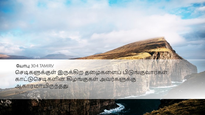 யோபு 30:4 TAMIRV Desktop Wallpaper - செடிகளுக்குள் - Desktop Bible Verse Wallpaper