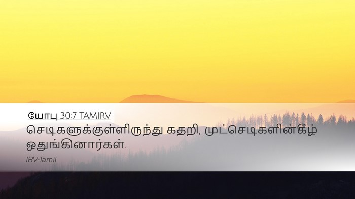 யோபு 30:7 TAMIRV Bible Verse Image