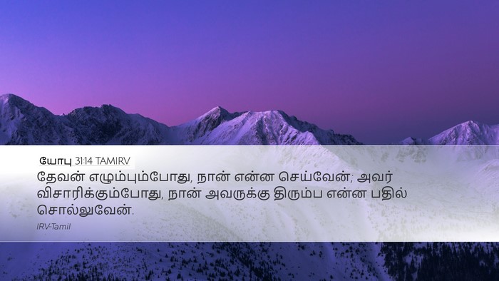 யோபு 31:14 TAMIRV Bible Verse Image