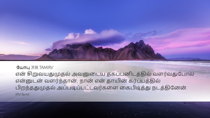 யோபு 31:18 TAMIRV Bible Verse Image
