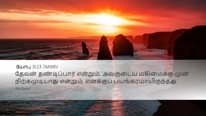 யோபு 31:23 TAMIRV Bible Verse Image