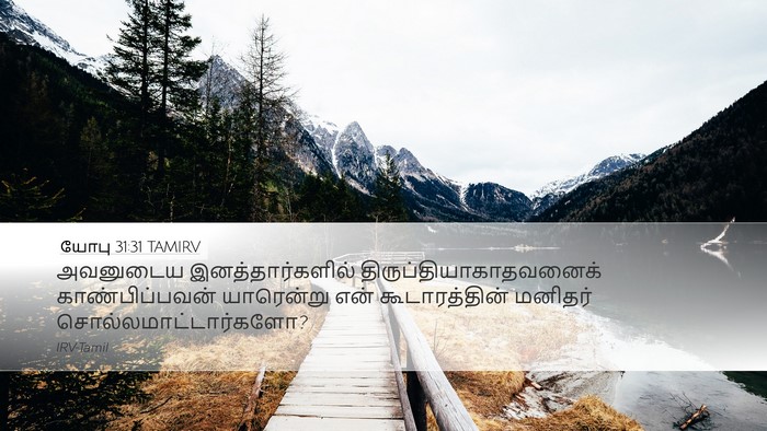 யோபு 31:31 TAMIRV Bible Verse Image