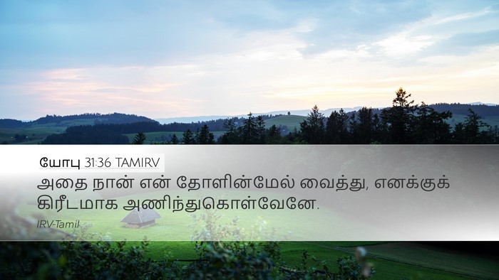 யோபு 31:36 TAMIRV Desktop Wallpaper - அதை நான் என் - Desktop Bible Verse Wallpaper