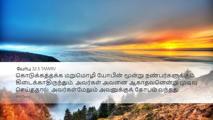 யோபு 32:3 TAMIRV Bible Verse Image