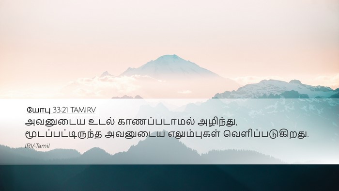 யோபு 33:21 TAMIRV Bible Verse Image