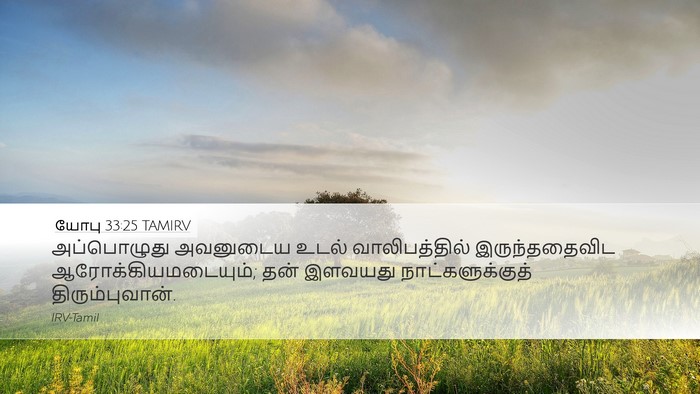 யோபு 33:25 TAMIRV Bible Verse Image