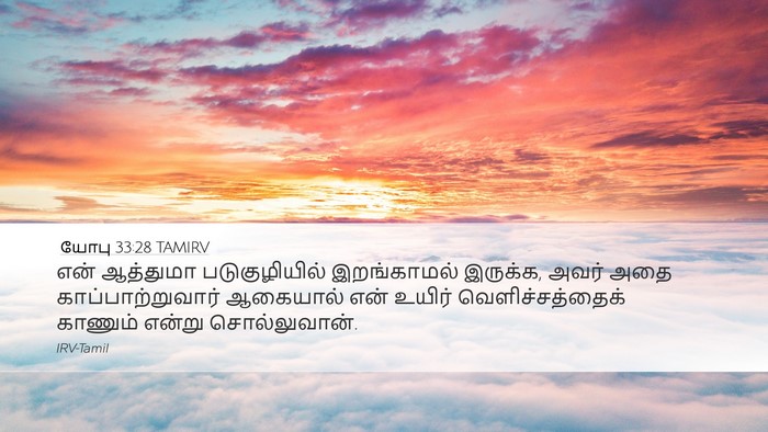 யோபு 33:28 TAMIRV Bible Verse Image