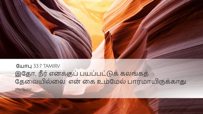 யோபு 33:7 TAMIRV Bible Verse Image