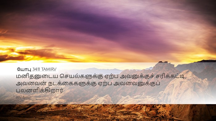 யோபு 34:11 TAMIRV Bible Verse Image