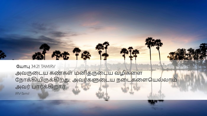 யோபு 34:21 TAMIRV Bible Verse Image