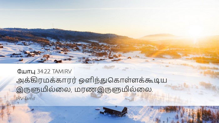 யோபு 34:22 TAMIRV Bible Verse Image
