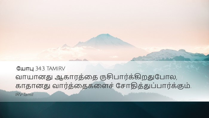 யோபு 34:3 TAMIRV Bible Verse Image