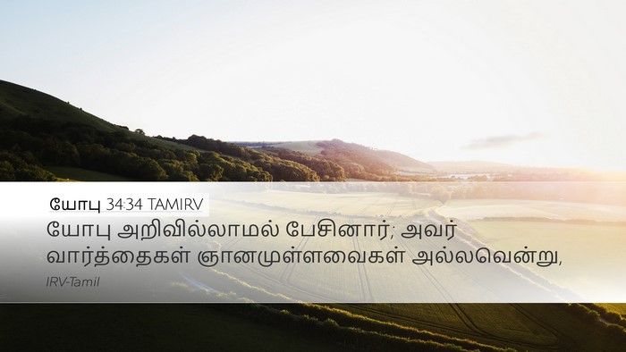 யோபு 34:34 TAMIRV Desktop Wallpaper - யோபு அறிவில்லாமல் - Desktop Bible Verse Wallpaper