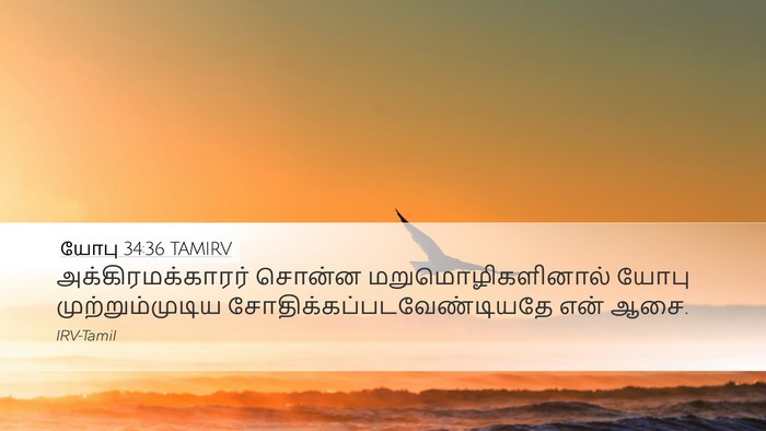 யோபு 34:36 TAMIRV Bible Verse Image