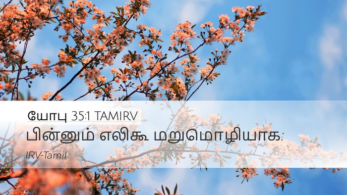 யோபு 35:1 TAMIRV Desktop Wallpaper - பின்னும் எலிகூ - Desktop Bible Verse Wallpaper