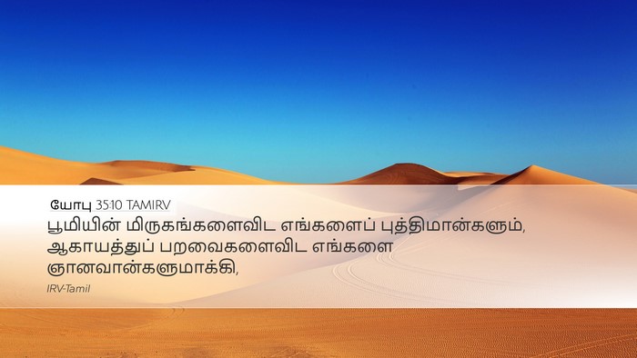 யோபு 35:10 TAMIRV Bible Verse Image