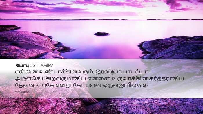 யோபு 35:11 TAMIRV Bible Verse Image