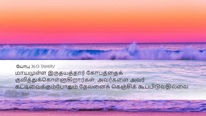 யோபு 36:13 TAMIRV Bible Verse Image