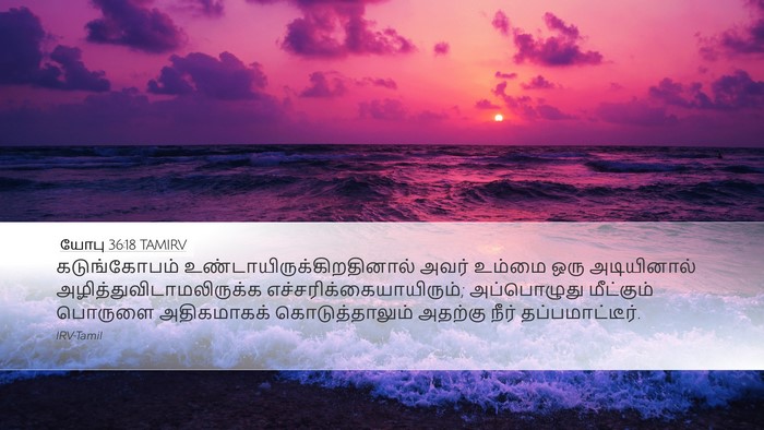 யோபு 36:18 TAMIRV Bible Verse Image