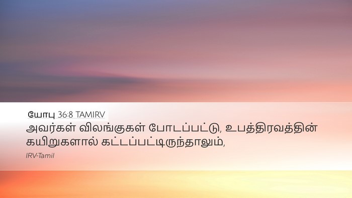 யோபு 36:8 TAMIRV Bible Verse Image