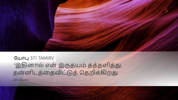 யோபு 37:1 TAMIRV Bible Verse Image