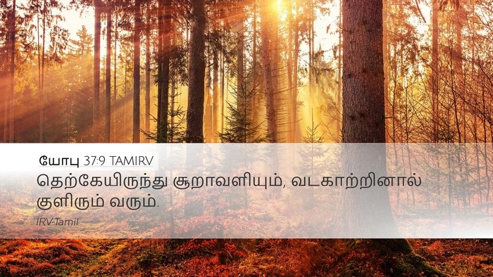 யோபு 37:9 TAMIRV Bible Verse Image