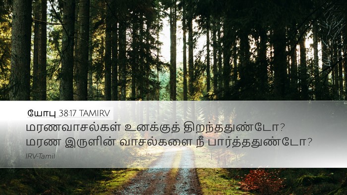 யோபு 38:17 TAMIRV Bible Verse Image