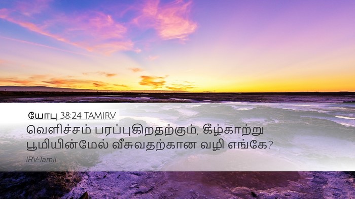 யோபு 38:24 TAMIRV Bible Verse Image