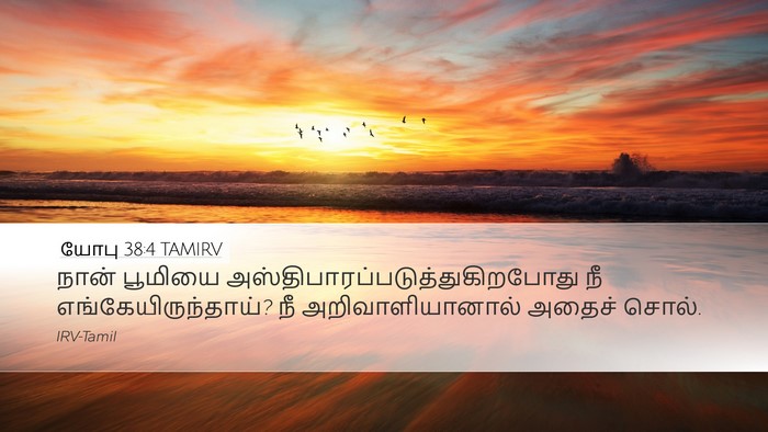 யோபு 38:4 TAMIRV Bible Verse Image