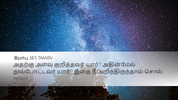 யோபு 38:5 TAMIRV Bible Verse Image