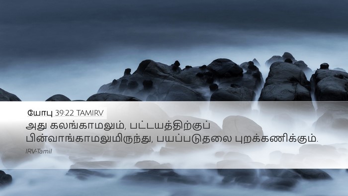 யோபு 39:22 TAMIRV Bible Verse Image