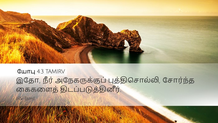 யோபு 4:3 TAMIRV Bible Verse Image