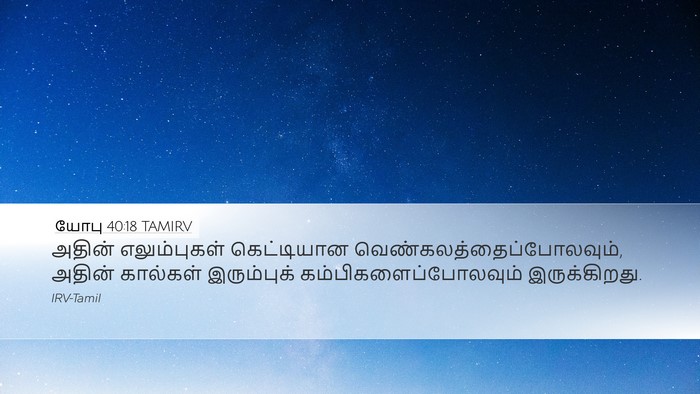 யோபு 40:18 TAMIRV Bible Verse Image