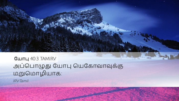 யோபு 40:3 TAMIRV Bible Verse Image