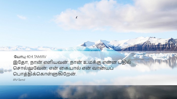 யோபு 40:4 TAMIRV Bible Verse Image
