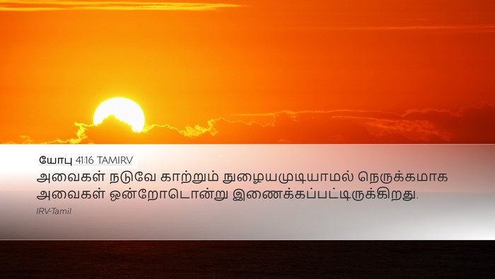 யோபு 41:16 TAMIRV Desktop Wallpaper - அவைகள் நடுவே - Desktop Bible Verse Wallpaper