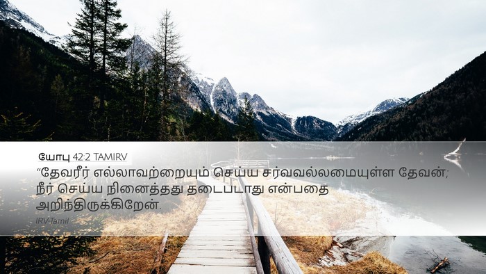 யோபு 42:2 TAMIRV Bible Verse Image