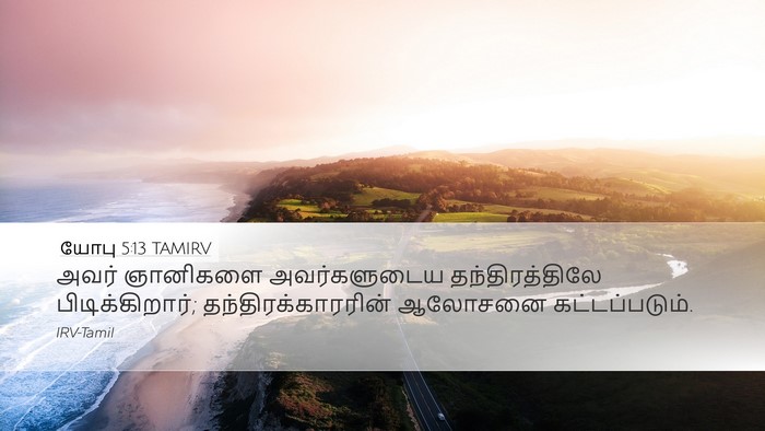 யோபு 5:13 TAMIRV Bible Verse Image