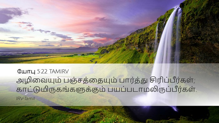 யோபு 5:22 TAMIRV Bible Verse Image