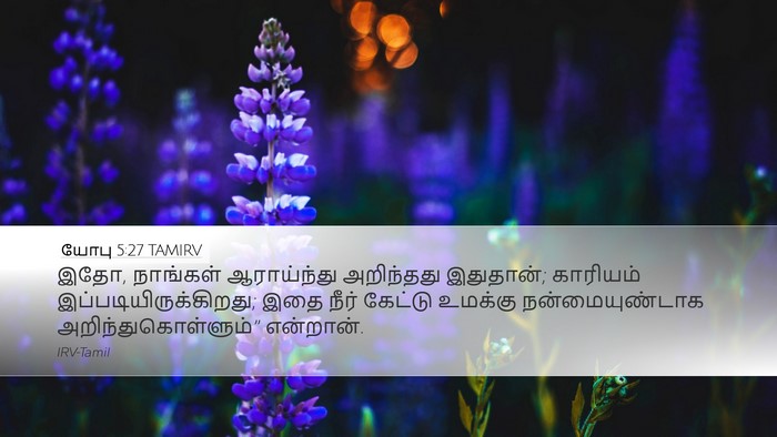 யோபு 5:27 TAMIRV Bible Verse Image