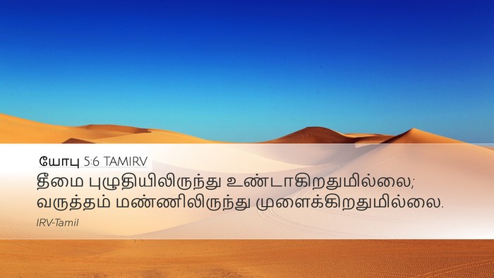 யோபு 5:6 TAMIRV Bible Verse Image