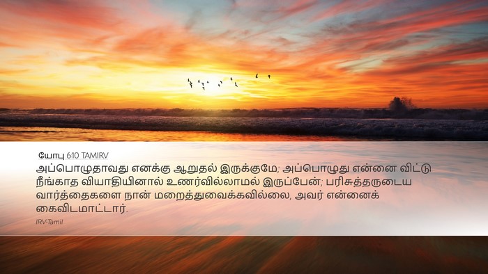 யோபு 6:10 TAMIRV Bible Verse Image