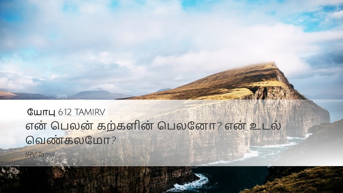 யோபு 6:12 TAMIRV Bible Verse Image