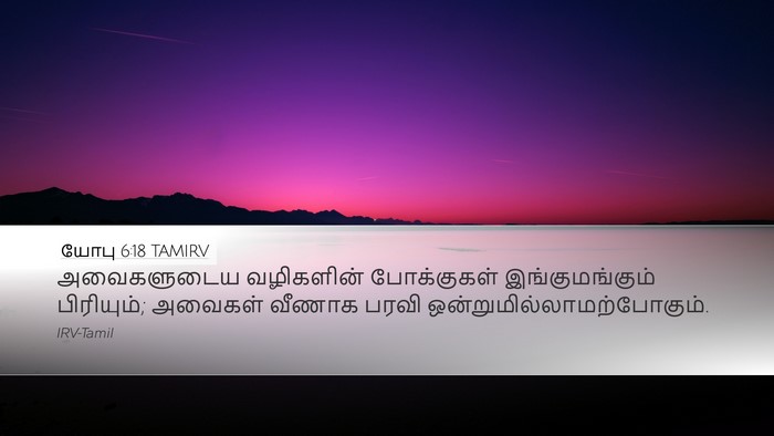 யோபு 6:18 TAMIRV Bible Verse Image