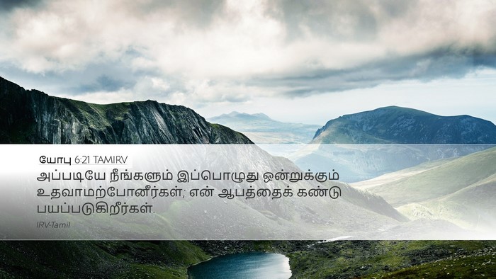 யோபு 6:21 TAMIRV Bible Verse Image