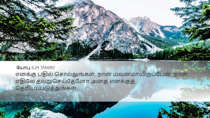 யோபு 6:24 TAMIRV Bible Verse Image