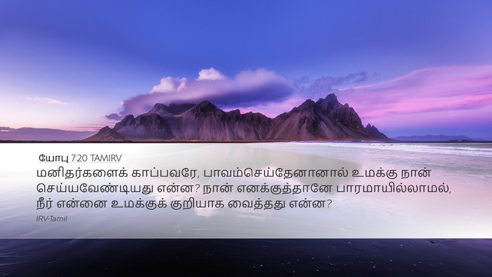 யோபு 7:20 TAMIRV Bible Verse Image
