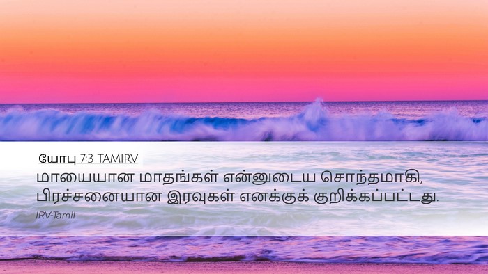 யோபு 7:3 TAMIRV Bible Verse Image
