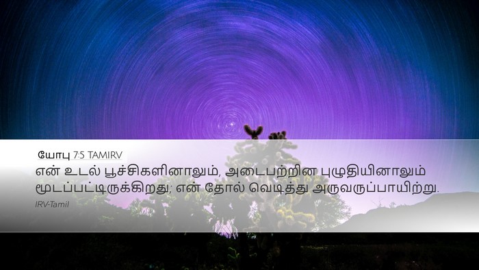 யோபு 7:5 TAMIRV Bible Verse Image